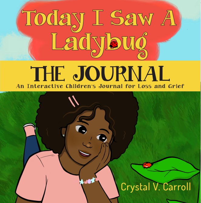 The Journal - Today I Saw a Ladybug (Paperback)